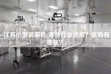 江蘇小型裝箱機(哪些行業(yè)適用？優(yōu)勢有哪些？)