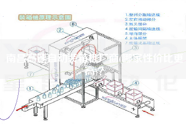 南昌高速自動裝箱機(jī)廠商(哪家性價比z高)？