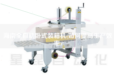 海南全自動臥式裝箱機(jī)(如何提高生產(chǎn)效率) 海南全自動臥式裝箱機(jī)(如何提高生產(chǎn)效率)
