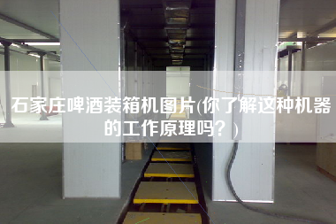 石家莊啤酒裝箱機(jī)圖片(你了解這種機(jī)器的工作原理嗎?) 石家莊啤酒裝箱機(jī)圖片(你了解這種機(jī)器的工作原理嗎?)