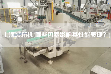 上海裝箱機(jī)(哪些因素影響其性能表現(xiàn)？)
