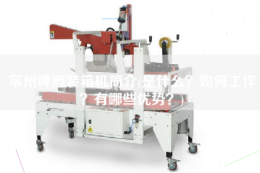 常州啤酒裝箱機(jī)簡(jiǎn)介(是什么？如何工作？有哪些優(yōu)勢(shì)？)