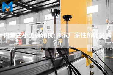 內(nèi)蒙古小型裝箱機(jī)(哪家廠家性價比z高？)