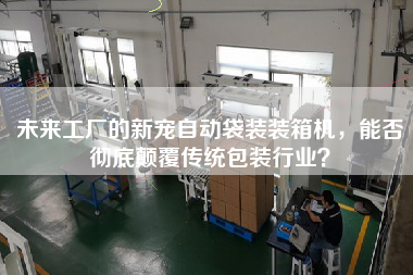 未來(lái)工廠的新寵自動(dòng)袋裝裝箱機(jī)，能否徹底顛覆傳統(tǒng)包裝行業(yè)？
