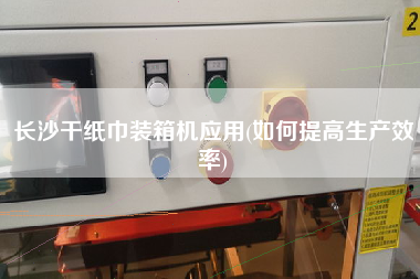 長沙干紙巾裝箱機(jī)應(yīng)用(如何提高生產(chǎn)效率)