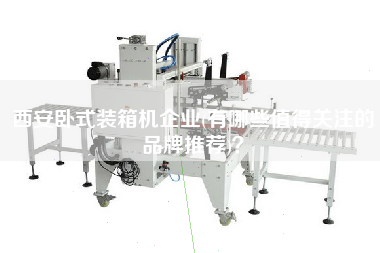 西安臥式裝箱機(jī)企業(yè)(有哪些值得關(guān)注的品牌推薦)？