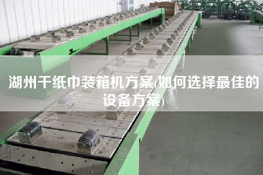 湖州干紙巾裝箱機方案(如何選擇z佳的設備方案)