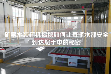 礦泉水裝箱機揭秘如何讓每瓶水都安全到達您手中的秘密