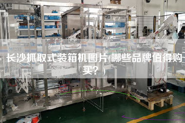 長沙抓取式裝箱機(jī)圖片(哪些品牌值得購買?) 長沙抓取式裝箱機(jī)圖片(哪些品牌值得購買?)