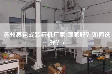 蘇州裹包式裝箱機廠家(哪家好?如何選擇?) 蘇州裹包式裝箱機廠家(哪家好?如何選擇?)
