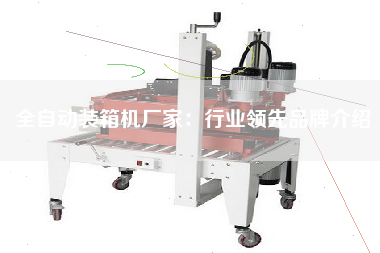 全自動(dòng)裝箱機(jī)廠家：行業(yè)**品牌介紹